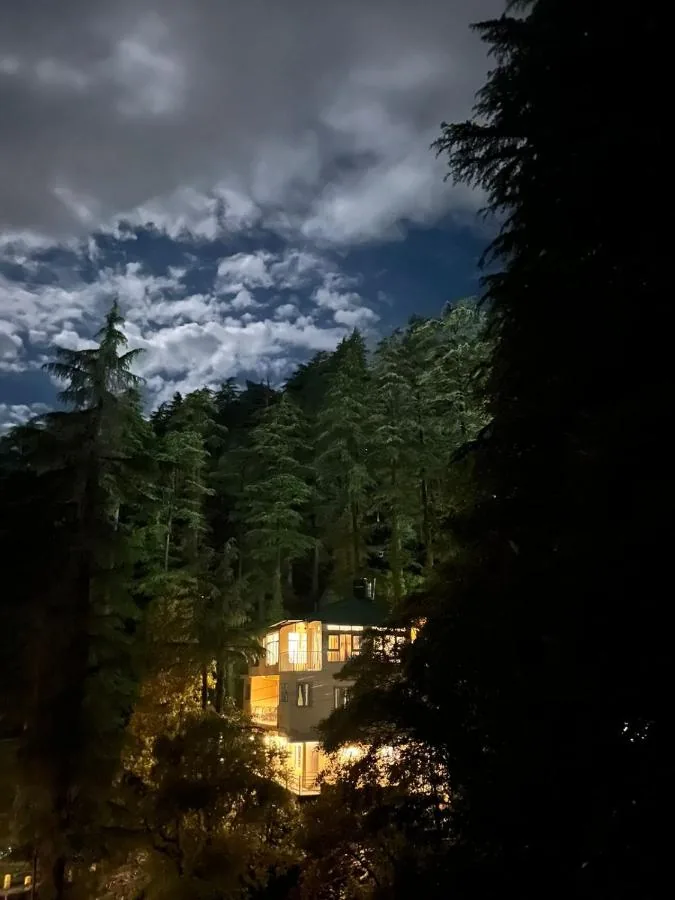 The hostel lit up among the trees after dark