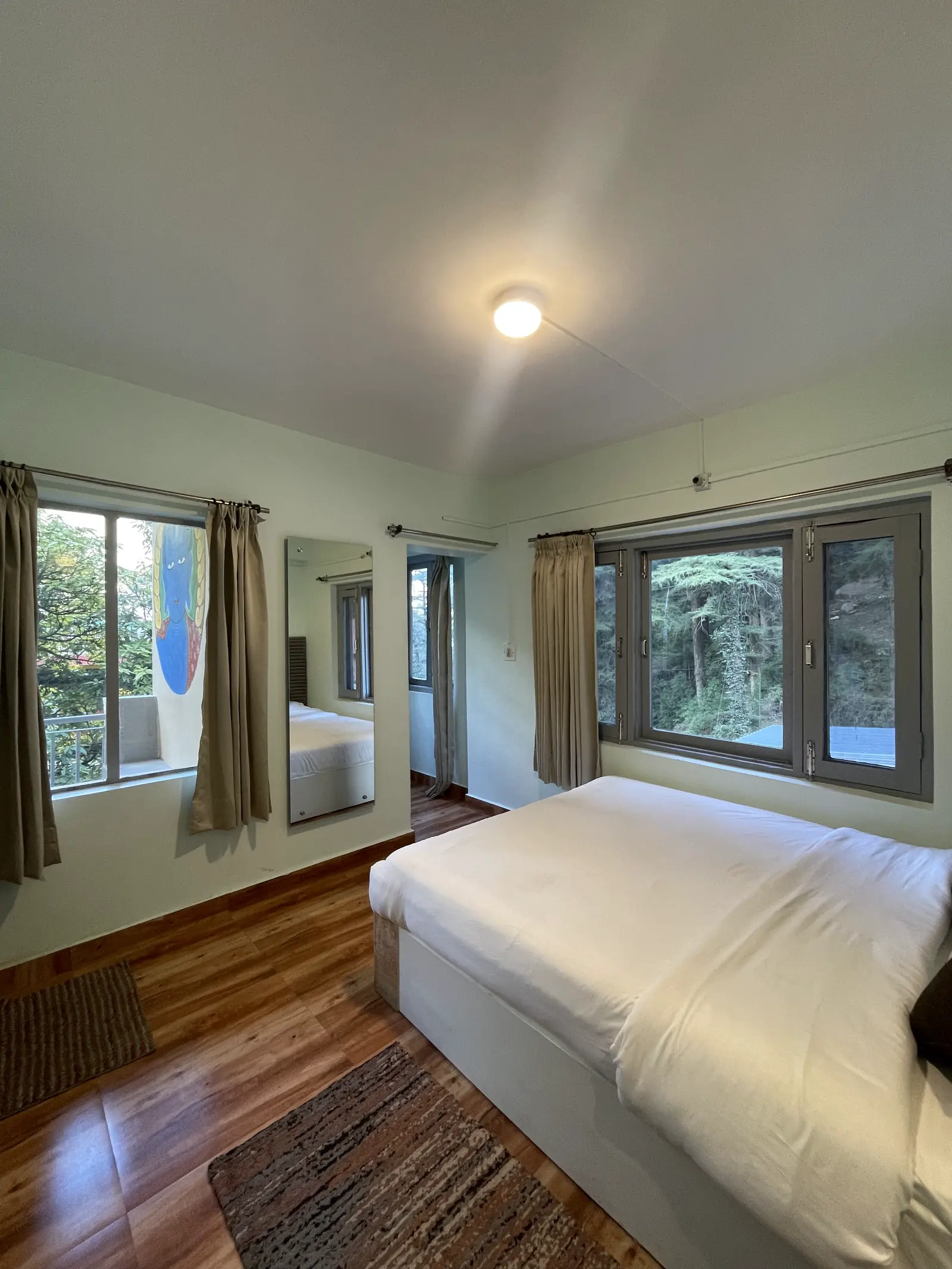 A queen room with the bed between two curtained windows onto dense conifers